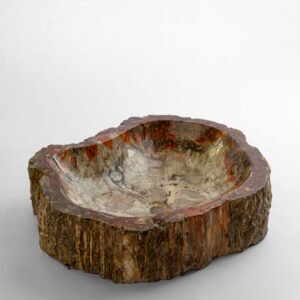 Petrified Wood Basin