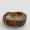 PETRIFIED WOOD - Image 2