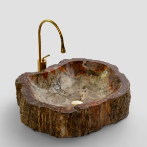 PETRIFIED WOOD