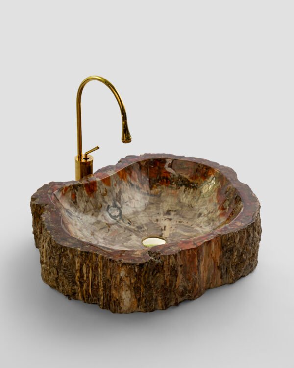 PETRIFIED WOOD