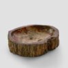 PETRIFIED WOOD - Image 3