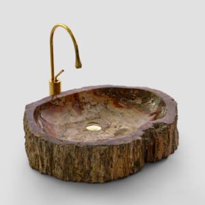 PETRIFIED WOOD