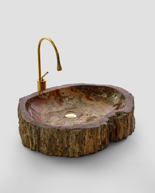 PETRIFIED WOOD