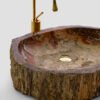 PETRIFIED WOOD - Image 4