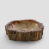 PETRIFIED WOOD - Image 4