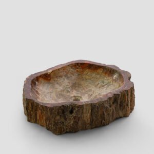 PETRIFIED WOOD