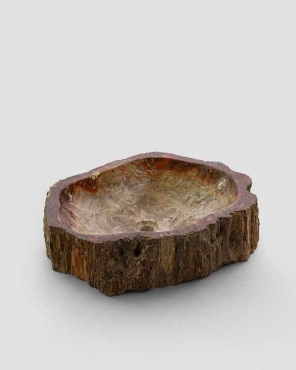 PETRIFIED WOOD