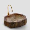 PETRIFIED WOOD - Image 3