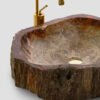 PETRIFIED WOOD - Image 2