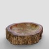 PETRIFIED WOOD - Image 2