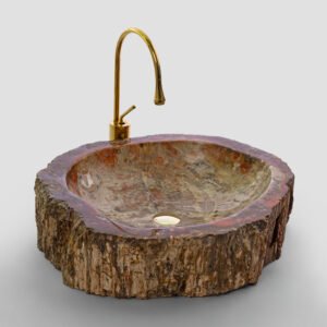 PETRIFIED WOOD