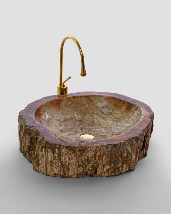 PETRIFIED WOOD