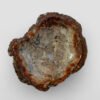 PETRIFIED WOOD - Image 4