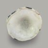 WHITE AGATE - Image 2