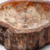 PETRIFIED WOOD - Image 2
