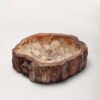 PETRIFIED WOOD - Image 3