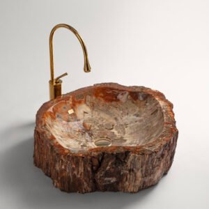 PETRIFIED WOOD