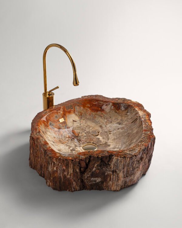 PETRIFIED WOOD