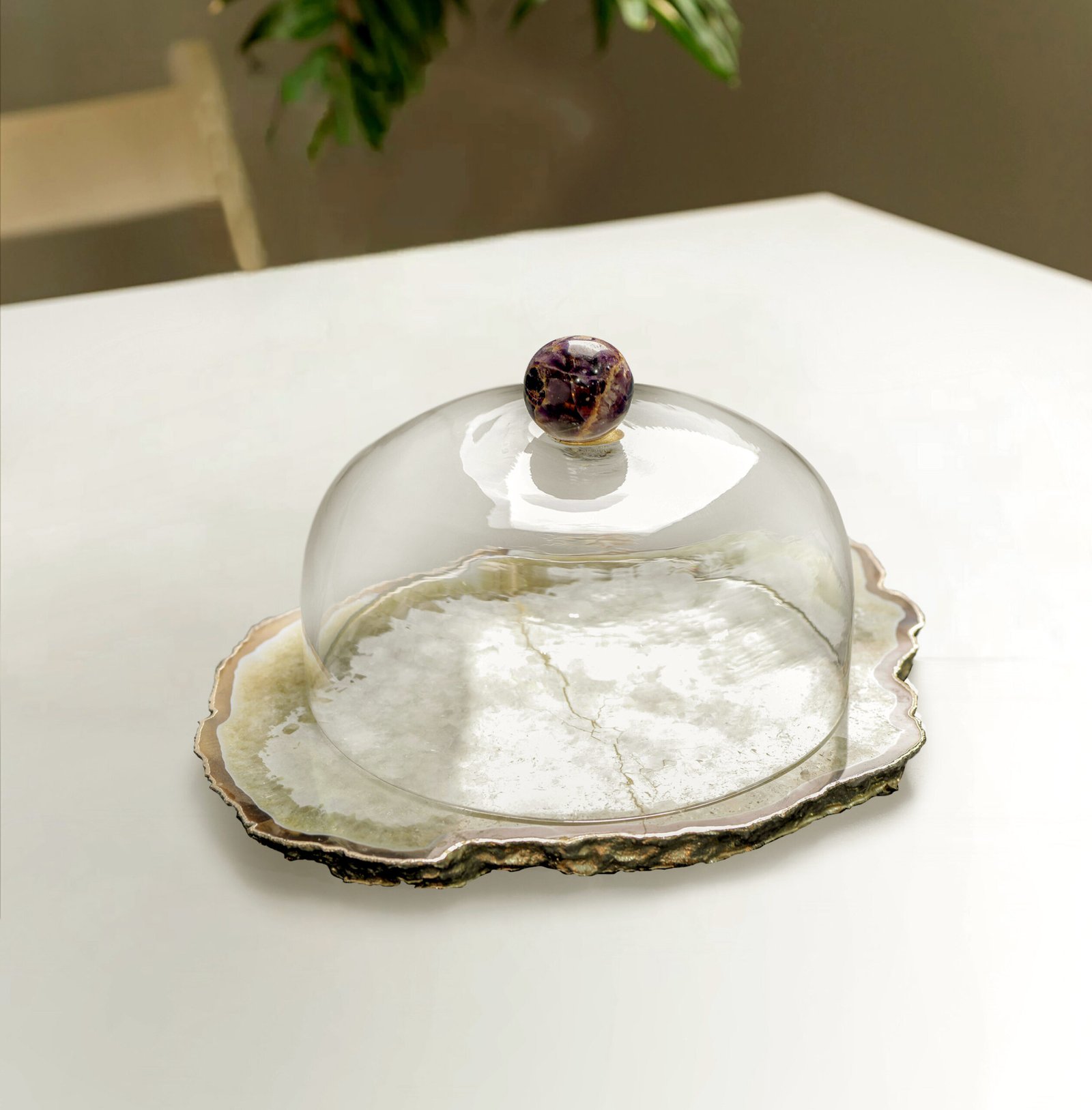 1125x1125-Cake Cloche